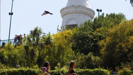 Marcha por trasplantes: 