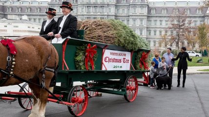   El árbol de Navidad de la Casa Blanca tiene seis metros de altura 