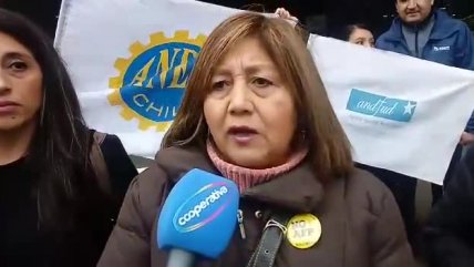   ANEF Araucanía apoya paro del SII: La reforma tributaria favorece a la clase opresora 