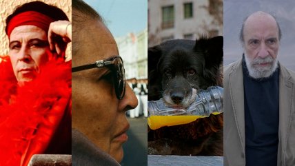   Los documentales dicen presente en Sanfic 