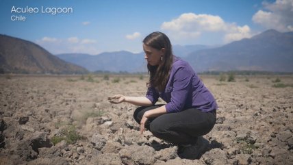   Microdocumental de la BBC destaca trabajo de la U. de Chile sobre el cambio climático 