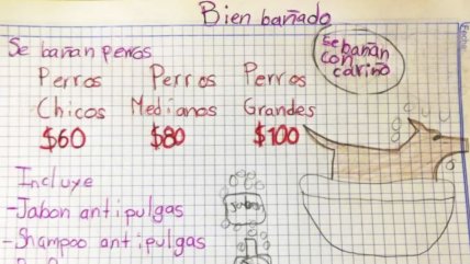   Niño de siete años baña perritos 