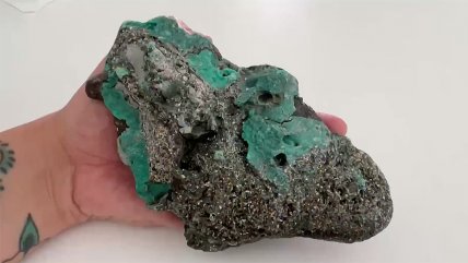   Preocupación científica por 