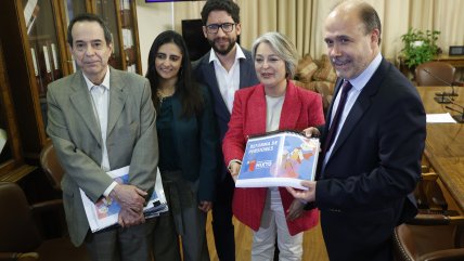   Ahora es Hora: Reforma previsional cumplió un año en el Congreso 