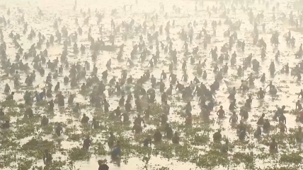   Pesca tradicional reunió a multitud de aldeanos en India 