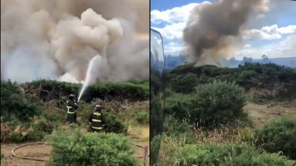   Incendio forestal en Dalcahue amenaza a zonas pobladas 