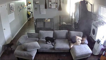   Niño de nueve años pasó el susto de su vida durante tiroteo 