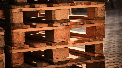   Piensa Circular: Empresa convierte pallets en composta orgánica 