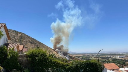   Bomberos y Conaf controlaron incendio forestal a metros de viviendas en Pudahuel 
