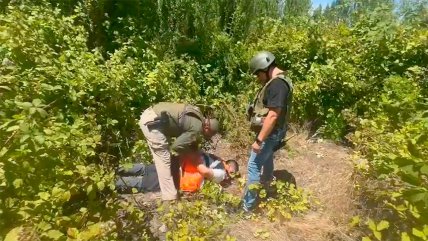   Carabineros incautó miles de dosis de drogas en Ñuble 