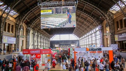   Lanzan nueva edición de 