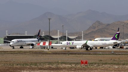  Gaviotas dominicanas obligan a reprogramar vuelos en el aeropuerto de Santiago  