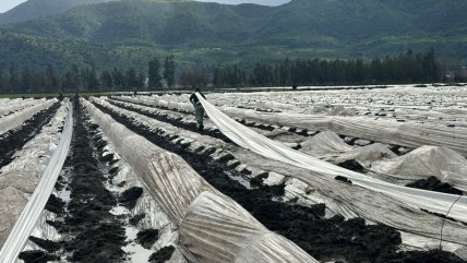   Remociones en masa interrumpen conectividad de Chaitén y Chiloé 