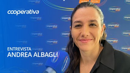   Subsecretaria defendió momento para presentar proyecto de aborto 