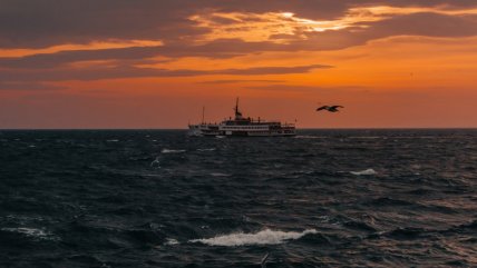   Polémica por idea de diputado Ind-PPD para echar a venezolanos: 