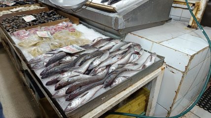   Septiembre llega con la veda de la merluza común 