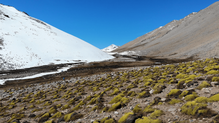   Tribunal Ambiental anuló Santuario de la Naturaleza en Monte Patria 