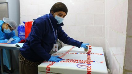   Fiestas Patrias: Decomisan más de 800 kilos de carne en mal estado en Chiloé 