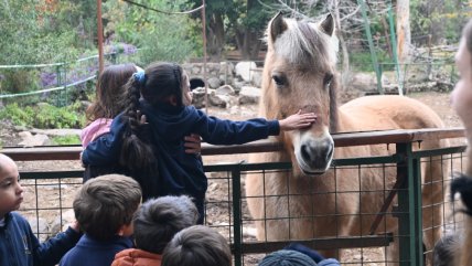   Fiestas Patrias: Panoramas para niños y niñas este 20 y 21 de septiembre 