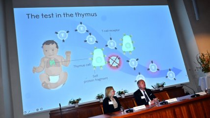   Inmunóloga explicó qué son las células T, cuyo descubrimiento ganó el Nobel de Medicina 2025 