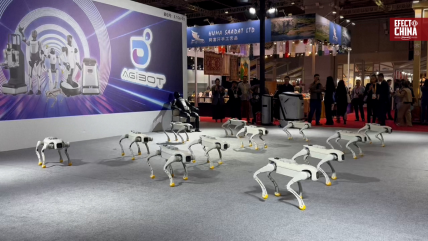   Perros robot sorprenden en la CIIE de Shanghái 