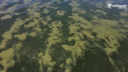  Contaminación del Lago Vichuquén provoca alerta sanitaria y críticas a 