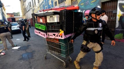   Independencia castigará incivilidades con multas y pérdida de beneficios sociales 