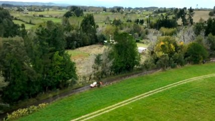   El Rally Mobil comienza su temporada 2025 este fin de semana en Lago Ranco 