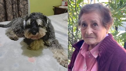   Justicia mandó callar a un perro que 