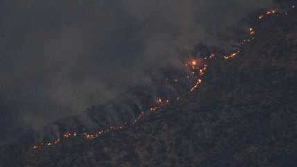 Senapred solicitó evacuar sectores de San Nicolás por incendio forestal  