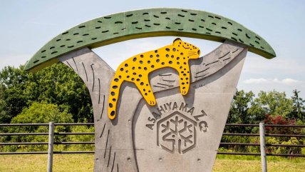   Hombre incineró el cadáver de su pareja en un zoológico japonés 