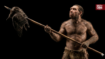   Científicos chinos descubren posible vínculo genético entre Homo erectus y denisovan 