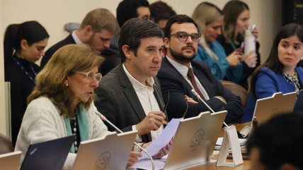   Megarreforma: Ramírez anticipa consenso en Comisión de Medio Ambiente 
