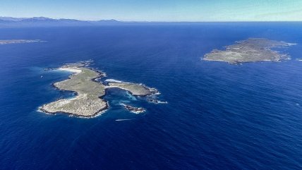   Proyecto Dominga: Greenpeace pide investigar posible caso de corrupción 