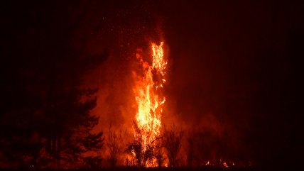   Sujeto que confesó autoría de incendio forestal en Cochamó quedó con arresto domiciliario 