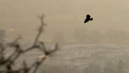  Alerta Ambiental para 17 comunas de O'Higgins este domingo  