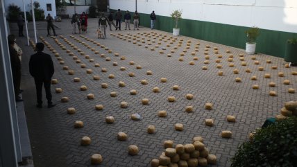   Carabineros ha incautado casi 45 toneladas de droga durante el 2026 