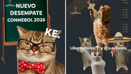   [VIDEO] Conmebol explicó con memes de gatos los desempates en Libertadores y Sudamericana 