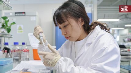   China y la investigación más allá de la tecnología visible 