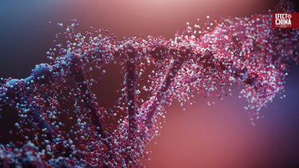   China promulgó estrictas directrices éticas para regular investigación de datos genéticos humanos 